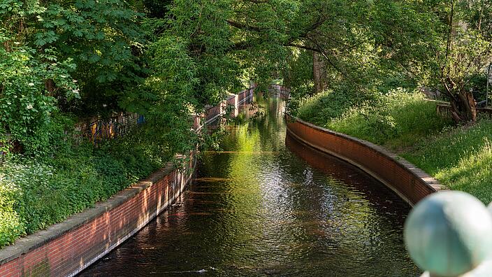 Die Außenaufnahme zeigt den Fluss Panke, der durch den Bezirk Mitte Gesundbrunnen fließt. Der Fluss verläuft mittig im Bild und läuft in der Entfernung zusammen. Er ist außerdem umringt von satt-grünen Bäumen, Wiesen und Sträuchern.