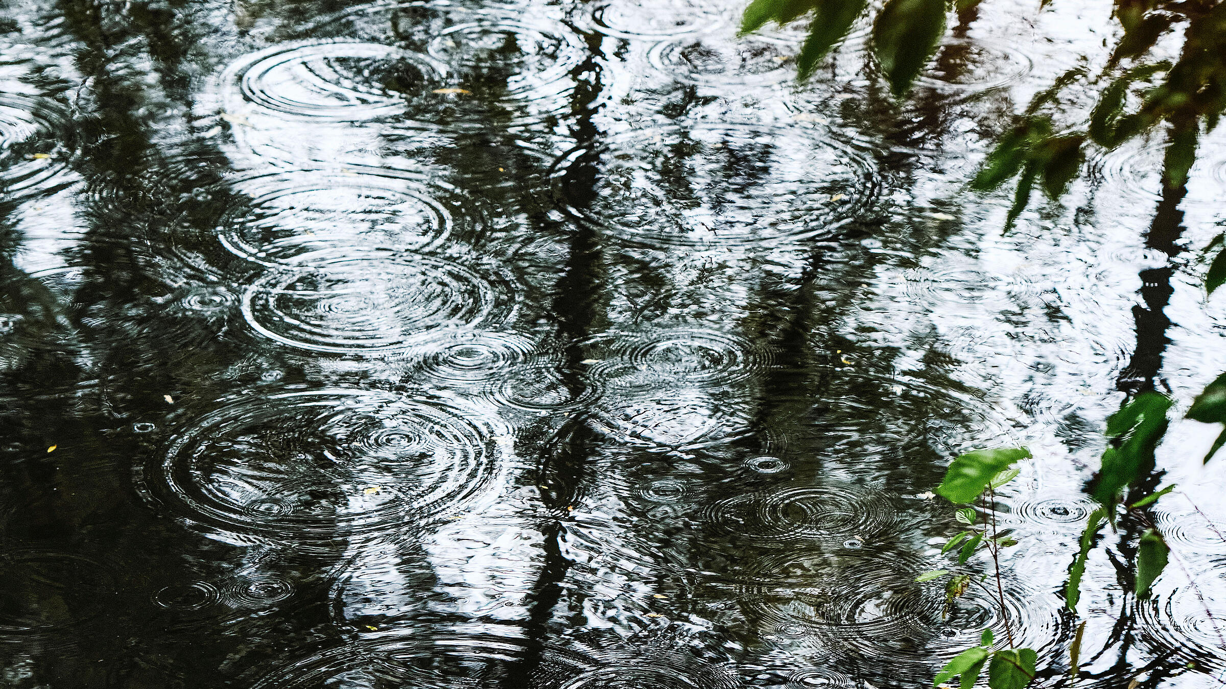 Außenaufnahme: Wasserfläche im Grünen